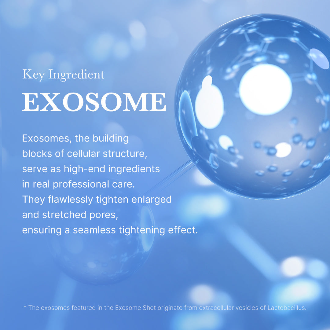 Coussin d'exosome